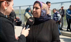 MERSİN ANAYURT’TA YILLARIN ZEYTİN VE NARENCİYE BAHÇELERİ, PLANLANAN ÇAM DİKİMİYLE KARŞI KARŞIYA