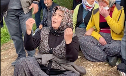 Köylüler bahçeleri için etten duvar oldu