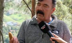 TOROSLAR’DA KUZU GÖBEĞİ BEREKETİ! KİLOSU 2 BİN, 2 BİN 500 LİRADAN BAŞLIYOR