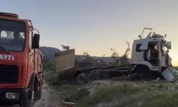 Freni boşalan sebze yüklü TIR ağaca çarparak durabildi