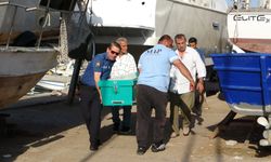 Mersin’de balıkçı barınağında erkek c*sedi bulundu