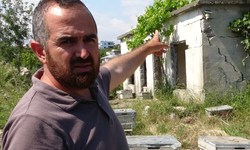 Kamera şüphelinin fotoğrafını çekti: Arılığa giren şahıs, kameraya zarar verdi