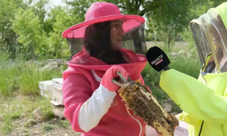 ÖĞRENCİLERİNE DERS, ARILARINA EMEK VERİYOR