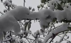 Mersin’de Mayıs ayında kar sürprizi