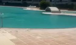 Haşema ile havuza alınmamıştı, soruşturma başlatıldı