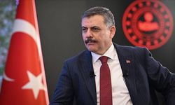 Bakan Çiftçi: "Yıl başına kadar sokak köpeklerinin hepsini barınaklara toplatacağım"