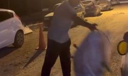 Çuvala koyulan köpeği, hayvansever kadın kurtardı