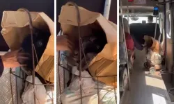 Pazar arabasına koyduğu keçisiyle dolmuşta yolculuk yaptı