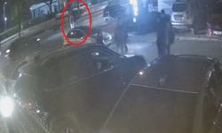 Ödüllü keman sanatçısı Laçin'in ölümüne neden olan sürücünün cezası onandı, serbest kaldı