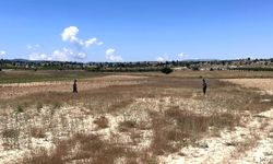 Mersin'de kaybolan kadın için arama çalışması başlatıldı