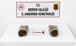 Mersin'de jandarmadan uy*şturucu operasyonu: 2 tutuklama