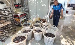 Mersin'de 200 kilo bozuk midye dolması ele geçirildi