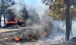 Mersin’de kaza sonrası araçlar alev aldı, yangın ormana sıçradı: 1 ölü, 2 yaralı