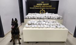 Piyasa değeri 13 milyon 960 bin lira olan 3 kilo 490 gram kokain ele geçirildi