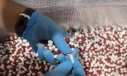 Mersin’de uy*şturucu imalathanesi operasyonunun bilançosu ağırlaştı: 298 bin sentetik ecza hapı ele geçirildi