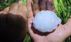 Adana'da yumruk büyüklüğünde dolu yağışı tarım arazilerine zarar verdi