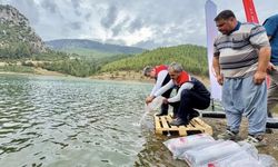 Mersin’de 17 göl ve gölete 347 bin yavru sazan bırakıldı