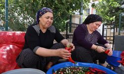 Damlar şarkılı türkülü salça mesaisi ile kırmızıya boyandı