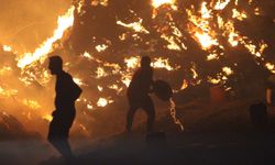 Alevler evlere kadar dayandı, mahalleli yangınla savaştı