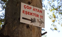 Mesire alanındaki çöp sorununa 'Çöp atan eşektir' yazılı tabelayla tepki