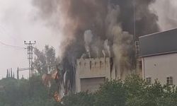 Mersin'de tütün işleme tesisinde yangın