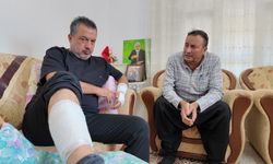 Sahipli köpeğin saldırdığı adam feci şekilde yaralandı