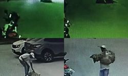 Silifke’de Pes Dedirten Görüntüler: Ezip Yollarına Devam Ettiler!