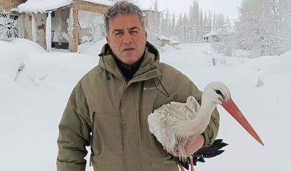 Yuvasından düşüp, kanatları donan leyleği kurtardı