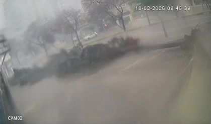 Fırtına dev ağaçları kökünden söktü, o anlar kameraya yansıdı