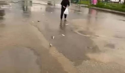 Bodrum'da sağanak; yollar trafiğe kapandı, iş yerlerini su bastı