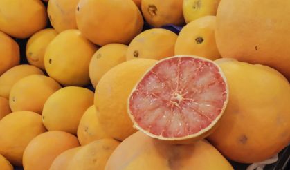 Turunçgil ihracatı yılın ilk çeyreğinde 697,7 milyon dolara ulaştı