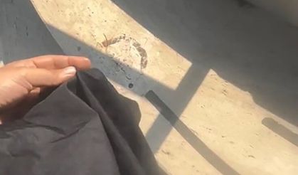 Havuzda tesettür mayo yasağında site görevlisi tutuklandı