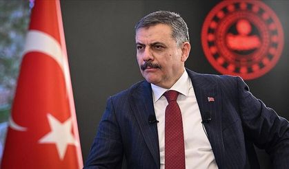 Bakan Çiftçi: "Yıl başına kadar sokak köpeklerinin hepsini barınaklara toplatacağım"