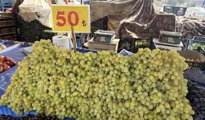 Yüksek rekolte üzüm fiyatlarını düşürdü