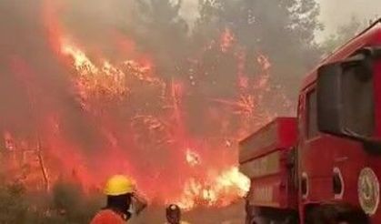 Alevlerle burun buruna geldiler: O anlar kameraya yansıdı