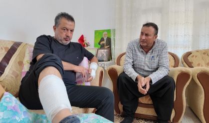 Sahipli köpeğin saldırdığı adam feci şekilde yaralandı