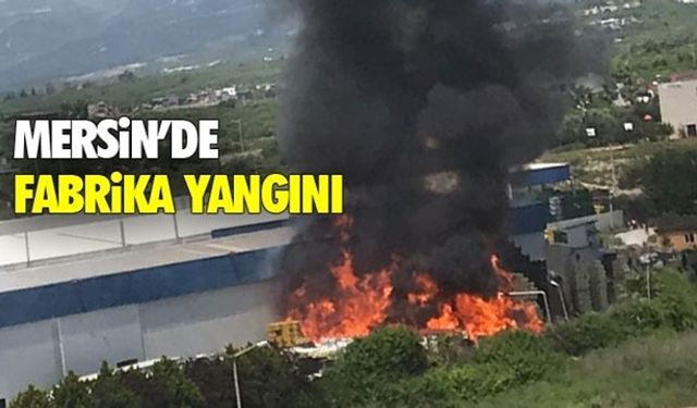 Mersin Tece'deki Narenciye Fabrikasında Yangın Çıktı