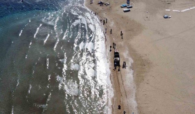 Zehirli sakın dokunmayın: Denizanaları sahilden toplanıyor