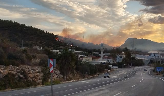 Bozyazı'da orman yangını büyümeden söndürüldü