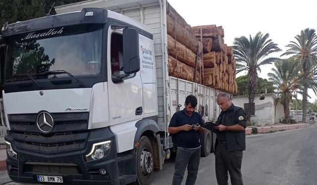 Mersin’de orman suçlarına karşı denetimler sürüyor