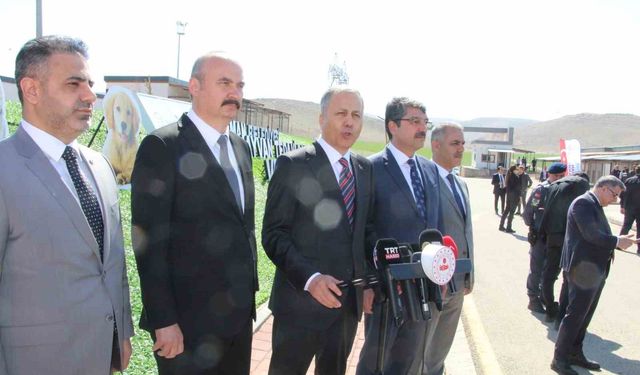 Bakan Yerlikaya'dan sokak köpekleri açıklaması "Gereğini yapacağız"