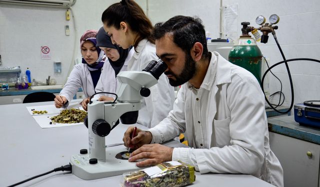 Bilimsel araştırma yapıldı: 'Kış çayları yarardan çok zarar verebilir'