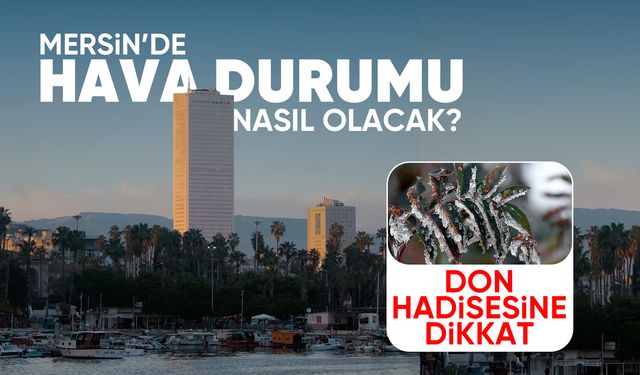Soğuk hava geliyor, zirai don hadisesine dikkat!