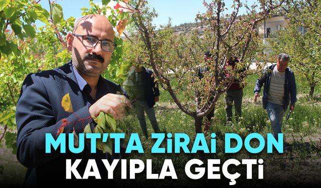 Mut’ta Zirai Don Kayıpla Geçti