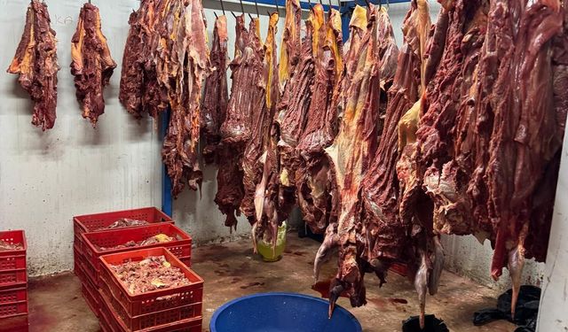 Adana'da bozuk et operasyonu: At eti, bozulmuş et... Ne ararsanız var!