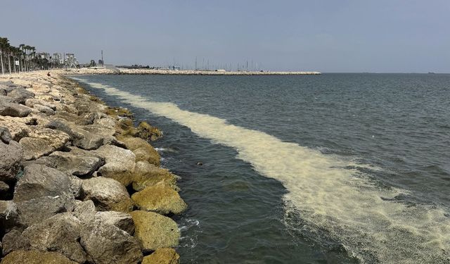 Mersin Körfezi'nde 'alg patlaması ve müsilaj kalıntıları'