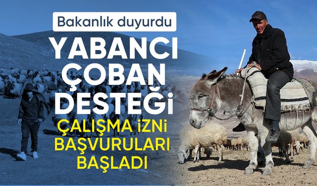 Yabancı çobanlar için çalışma izni başvuruları başladı