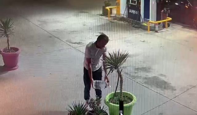 Bursa'da ormanı yakan kundakçı tutuklandı