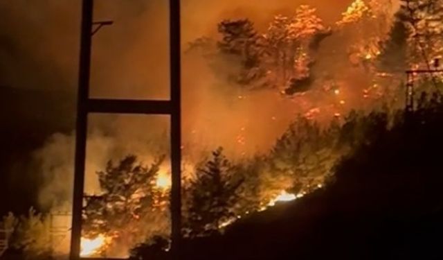Alanya'da ormanlık alanda yangın