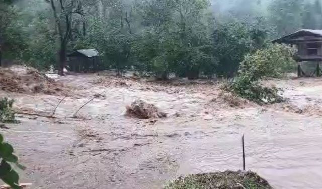 Artvin'de sağanak yağış sele neden oldu!